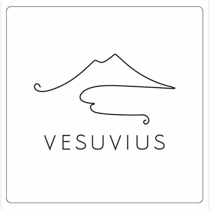 Vesuvius A Mezzocannone Appartement Napels Buitenkant foto