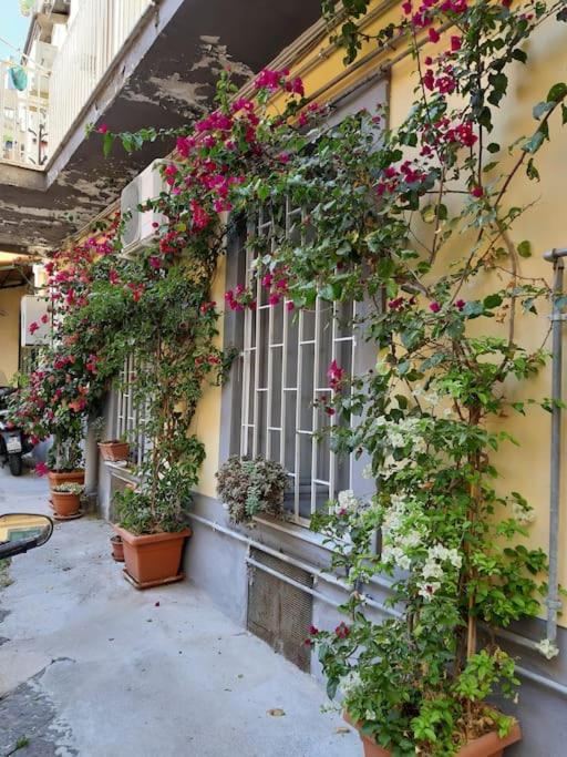 Vesuvius A Mezzocannone Appartement Napels Buitenkant foto