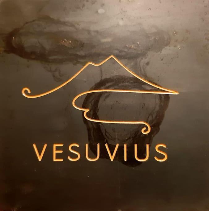 Vesuvius A Mezzocannone Appartement Napels Buitenkant foto